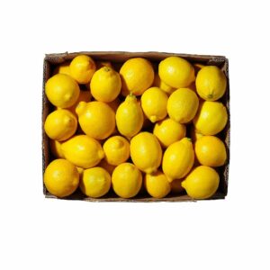 Lemon Africa Box 15Kg