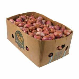 Onion Box Pakistan 15kg