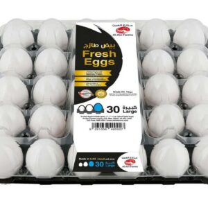 Al Mazraa Egg Large Tray