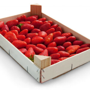 Strawberry Morocco 1Kg