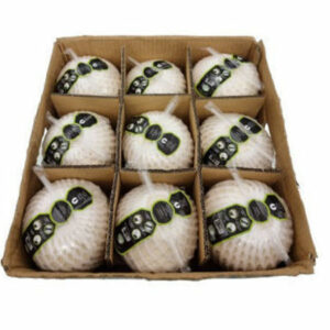 Coconut Vietnam-Box 9pcs