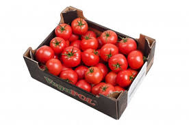 Tomato Bunch -1Box(5kg)