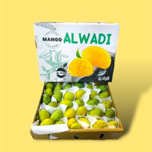 Mango Fas Egypt-Box…