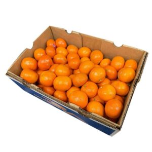 Orange Tangerine Morocco-1Box…