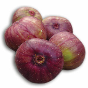 Fresh Fig UAE-500gm